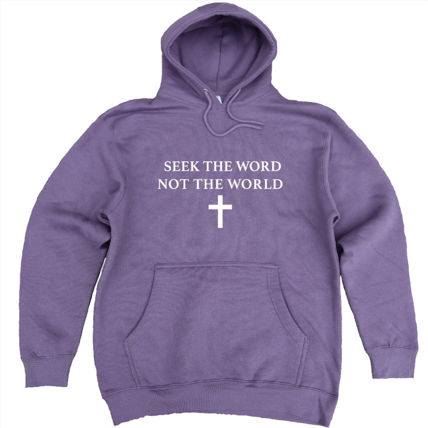 Seeking the Word Hoodie